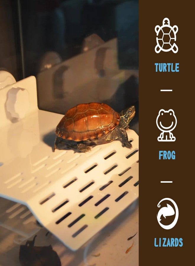 SHIGATSU 2IN1 Turtle Basking Platform for Turtle Tank,Turtle Platform with Suction Cup for Turtles, Lizards and Frogs, Reptile Habitat - Image 2